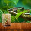 Terrario acrílico para reptiles, 2 piezas caja de cría de