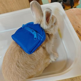 Yanmucy Rabbit Harness and Lead Set with Bag Adjustable Rabbit Lead Waterproof Ferret Harness for Small Animal Rats Bunny Walking (Blue)