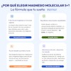 Molecular Labs - Magnesio Molecular 5+ | Suplemento de Magnesio