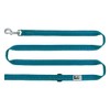 RC Pets 3/4" x 6 ft Primary Collection Dog Leash,