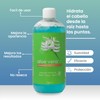 Shampoo Con Aloe Vera Brillo E Hidratación Productos Mart Mexico