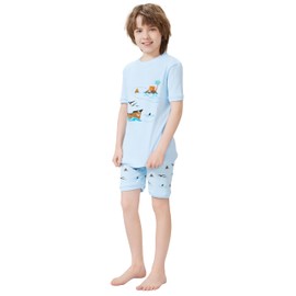 Kids Pajamas Hop Big Boys Pajamas 100% Cotton Clothing Set Kid Sleepwear (Blue,10)