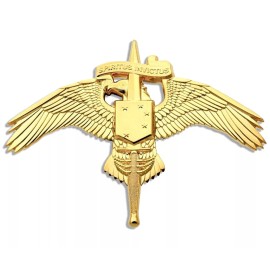 US Marine Corps MARSOC Badge Marine Forces Special Operations Command Full Size