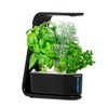 AeroGarden Sprout with Gourmet Herbs Seed Pod Kit - Hydroponic Indoor Garden, Black