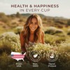 Gya Tea Co Chamomile Mint Herbal Tea K Cups for