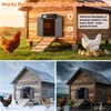 Automatic Chicken Coop Door Large Size, 7W Solar Powered with