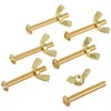 Pentair R221166 155 Brass Bolt and Wing Nut