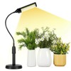 CHANGSHENG Grow Lights for Indoor Plants Desk LED Grow Light