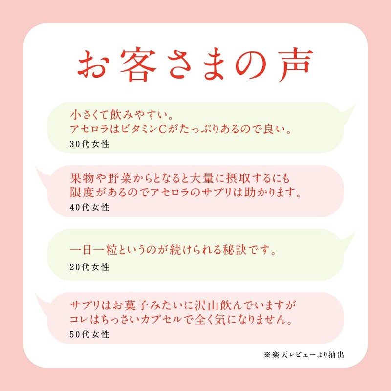 シードコムス アセロラ ビタミンC サプリメント (約12ヶ月分 360粒)