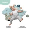 The Peanutshell Tummy Time Mat Girl and Dino Baby Lovey-
