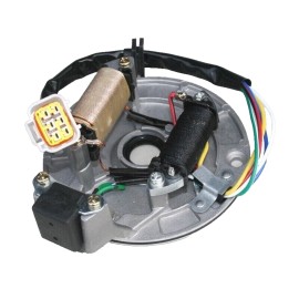 COOLSTER STATOR MAGNETO 2 COIL POLE COOLSTER MAX TRADE X-PRO 125cc 110cc DIRT PIT BIKE