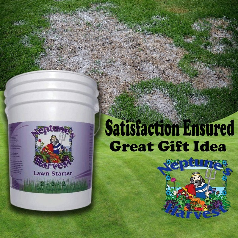 Neptune's Harvest Lawn Starter Fertilizer, 5 Gallon Pail