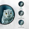 Yangers DSLR Camera Close-up Macro Lens Filter Kit Set (+