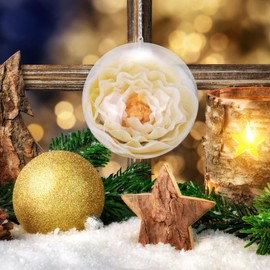 NOLITOY Plastic Balls, Clear Hollow Balls, Acrylic Spheres, Ornaments, Spheres, Ornaments, Fillable, Storage, Decoration, 5.9 inches (15 cm)