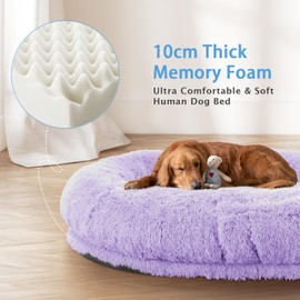 MODCART Human Dog Bed, 71''x45''x12'' Size Fits People and Pet 10 CM Thick Memory Foam Washable Adult Large Bed Giant Oversize Foldable Dog Bed with Plump Pillow, Blanket, Strap - Purple