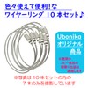 Key Holder Wire Ring Approximately 15 cm 10-Piece Set Screw-Type