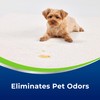 BISSELL Woolite® Advantage Pet Stain & Odor Remover + Sanitize,