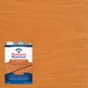 Thompson’s WaterSeal Semi-Transparent Waterproofing Wood Stain and Sealer, Natural Cedar,