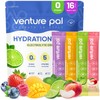 Venture Pal Sugar Free Electrolyte Powder Packets - Liquid Daily
