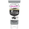 Evelish Charcoal Scrub Face Wash 4.8 oz (135 g)