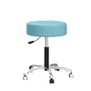 Rolling Adjustable Stool with Wheels for Work Medical Tattoo Salon