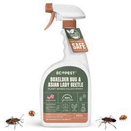 Boxelder Bug & Asian Lady Beetle Spray – Natural, Plant-Based Indoor & Outdoor Killer | Non-Staining, Safe for Doors, Windows, Siding & Baseboards | Child & Pet Safe, Low Odor, Eco-Friendly | 22 oz