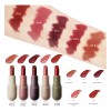 Nuoyatiyu 5pcs Labial En Barra Mate Alta Pigmentación Y Duración