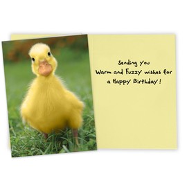Cute Baby Duckling Birthday Card to send Warm and Fuzzy greetings to men, women, friend, and coworkers.