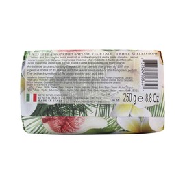 Nesti Dante Love & Care Fico della Signoria 250 g ND1351106