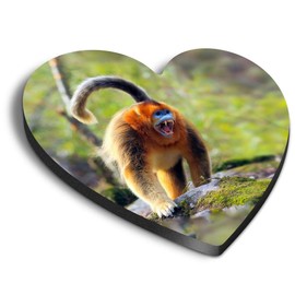 1 x Heart MDF Magnets - Adult Golden Snub Nose Monkey 44030