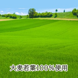 新日配薬品 九州産大麦若葉100% 粉末 3gX44包