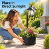 Solar Outdoor Lights with Flower Planter Box – Vintage LED