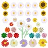 Woohome 35 PCS Mix Flower Iron On Patches Daisy Flower