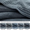 WDCOZY 100% Cotton Queen Size Quilt Set - Blue Striped