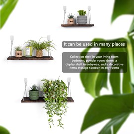 MITIME Floating Shelves Set of 3 Rustic Solid Wood Floating Shelf Wall Storage Shelves for Living Room, Bedroom, Bathroom, Kitchen Laundry, Office.no Drill Shelf.(Retro Color L+M+S)