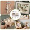 220+ Mixed Sea Shells Starfish for Crafts, DIY Decorations, Beach