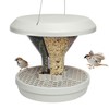 SWISSINNO Davos Smart Birds Bird Feeder Silo Feed Birds -