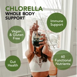 Sun Chlorella Powder Green Superfood Algae - Chlorophyll, Chlorella Growth Factor, Active B12 & Iron Supplement Drink Mix - Pulverized Cell Wall - Non-GMO, Vegan & Gluten-Free - 30 Packets (3g ea) 90g
