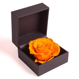 ROSEMARIE SCHULZ Heidelberg Rose Box Infinity Rose Preserved Gift Box Ring Box with Flower (Yellow)