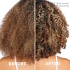 LOreal Paris - Kit de champú y acondicionador EverPure Frizz
