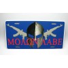 DIGIART INTERNATIONAL MOLON LABE 2ND AMENDMENT COME AND TAKE IT