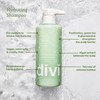 Divi Hydrating Shampoo and Conditioner Set, 2 x 12 oz,