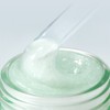 Innisfree Green Tea Panthenol Gel Cream, 50ml, 1 piece