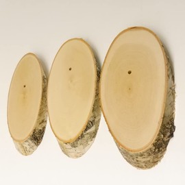 Birch Sign Trophy Sign for Deer Tree Disc Tree Sign AF 19 cm Pack of 3