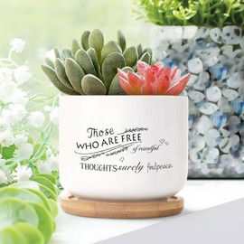 DecStic Those Who are Free of Resentful Thoughts Find Peace. Planters Ceramic Bible Verse Round Plant Pots with Drainage Holes and Bamboo Tray Pot for Home Office Decoration