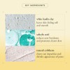 Philosophy Purity made simple pore extractor exfoliating clay mask