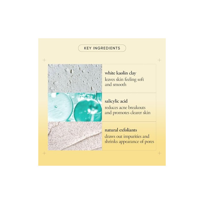 Philosophy Purity made simple pore extractor exfoliating clay mask
