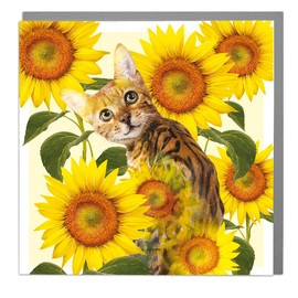 Lola Design - Full Bloom Greeting Cards - Blank Cards and Envelopes - Bengal Cat and Sunflowers