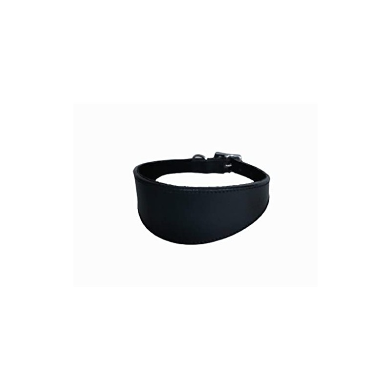 Avon Pet Products Whippet Greyhound Leather Padded Dog Collar, 18-Inch,