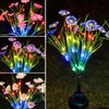 Elegant Choise Solar Garden Lights, Flower Pathway Lights Outdoor Waterproof,Garden